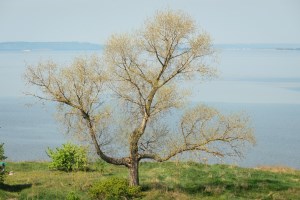 Трахтемирів. Фото: Ніна Ліщук, Дмитро Гілітуха (studway.com.ua)